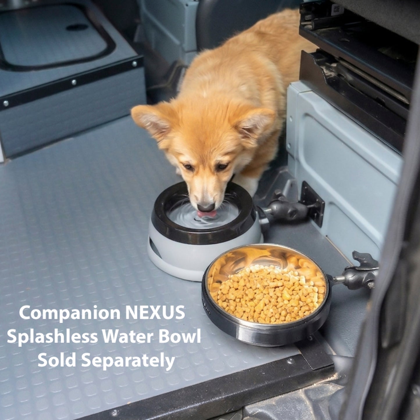 NEXUS Pet Food Bowl with 1" Ball Mount for Campervans